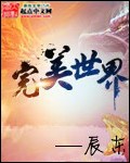 完美世界 小說封面，作者：辰東
