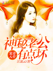 寵妻入骨神祕老公有點壞 小說封面，作者：江流雲