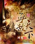 無敵天下 小說封面，作者：神見