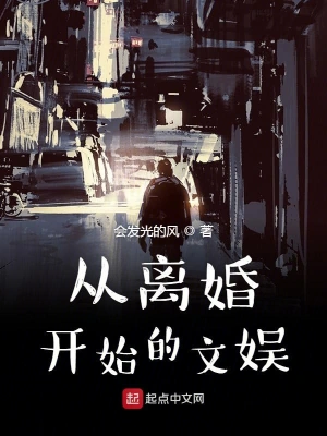 從離婚開始的文娛 小說封面，作者：會發光的風