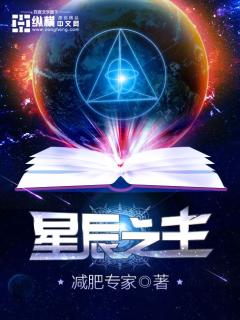 星辰之主 小說封面，作者：減肥專家