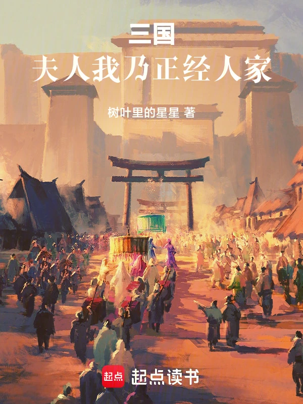 三國夫人,我乃正經人家 小說封面，作者：樹葉裡的星星