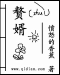 贅婿 小說封面，作者：憤怒的香蕉