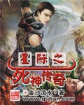 星際之死神傳奇 小說封面，作者：金沙流水