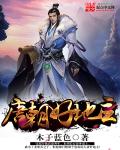 唐朝好地主 小說封面，作者：木子藍色