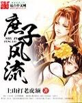 庶子風流 小說封面，作者：上山打老虎額