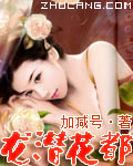 龍潛花都 小說封面，作者：加減號