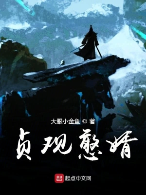 貞觀憨婿 小說封面，作者：大眼小金魚