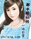 都市修仙傳 小說封面，作者：一地白雪