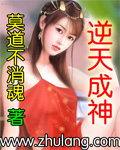 逆天成神 小說封面，作者：莫道不消魂