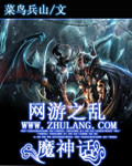 網遊之亂魔神話 小說封面，作者：菜鳥兵山