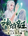 神焰帝王 小說封面，作者：一歲上大學
