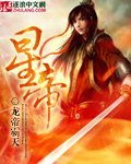 星帝 小說封面，作者：龍帝霸天