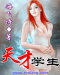 天才學生 小說封面，作者：海飛詩