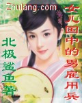 女兒國中的男僱傭兵 小說封面，作者：北極鯊魚