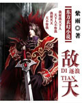 敵天 小說封面，作者：紫雨