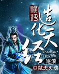 混沌造化天經 小說封面，作者：弒天滅魂
