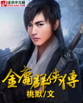 金庸羣俠傳 小說封面，作者：桃默