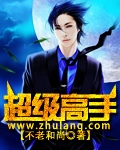 超級高手 小說封面，作者：不老和尚