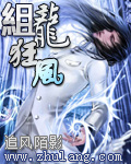 龍組狂風 小說封面，作者：追風陌影