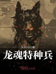 龍魂特種兵 小說封面，作者：東方小少