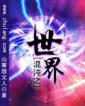 混沌之世界 小說封面，作者：山寨版文人