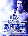 網遊之散打之王 小說封面，作者：空降的貓