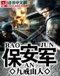 保安軍 小說封面，作者：九戒山人