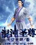 混沌聖尊 小說封面，作者：天空光明