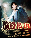 巔峯傳說 小說封面，作者：若禪