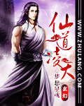 仙道凌天 小說封面，作者：夢想星魂