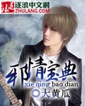 邪情寶典 小說封面，作者：大黃瓜