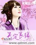 天定良緣 小說封面，作者：鳳亦柔