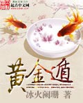 黃金遁 小說封面，作者：冰火闌珊