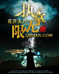 執掌無限 小說封面，作者：o花開無月o