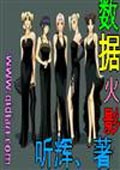 數據火影 小說封面，作者：聽輝