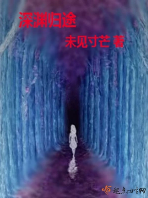 深淵歸途 小說封面，作者：未見寸芒
