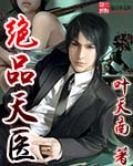 絕品天醫 小說封面，作者：葉天南