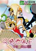 風臨海賊王 小說封面，作者：風臨海賊