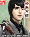 旁醫左相 小說封面，作者：平山散人
