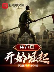 從八百開始崛起 小說封面，作者：漢唐風月1