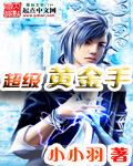 超級黃金手 小說封面，作者：小小羽