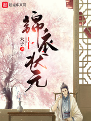 錦衣狀元 小說封面，作者：天子