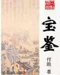 寶鑒 小說封面，作者：打眼