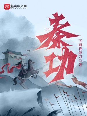 秦功 小說封面，作者：下雨我帶刀