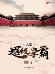 大宋超級學霸 小說封面，作者：高月
