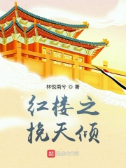 紅樓之挽天傾 小說封面，作者：林悅南兮