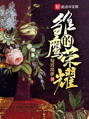 雛鷹的榮耀 小說封面，作者：匂宮出夢