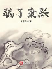 騙了康熙 小說封面，作者：大司空