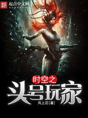 時空之頭號玩家 小說封面，作者：風上忍